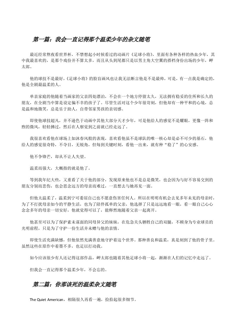 我会一直记得那个温柔少年的杂文随笔[修改版]