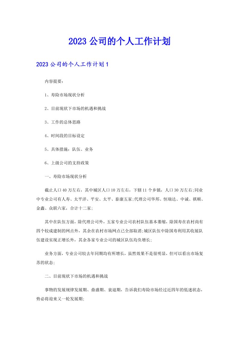 2023公司的个人工作计划