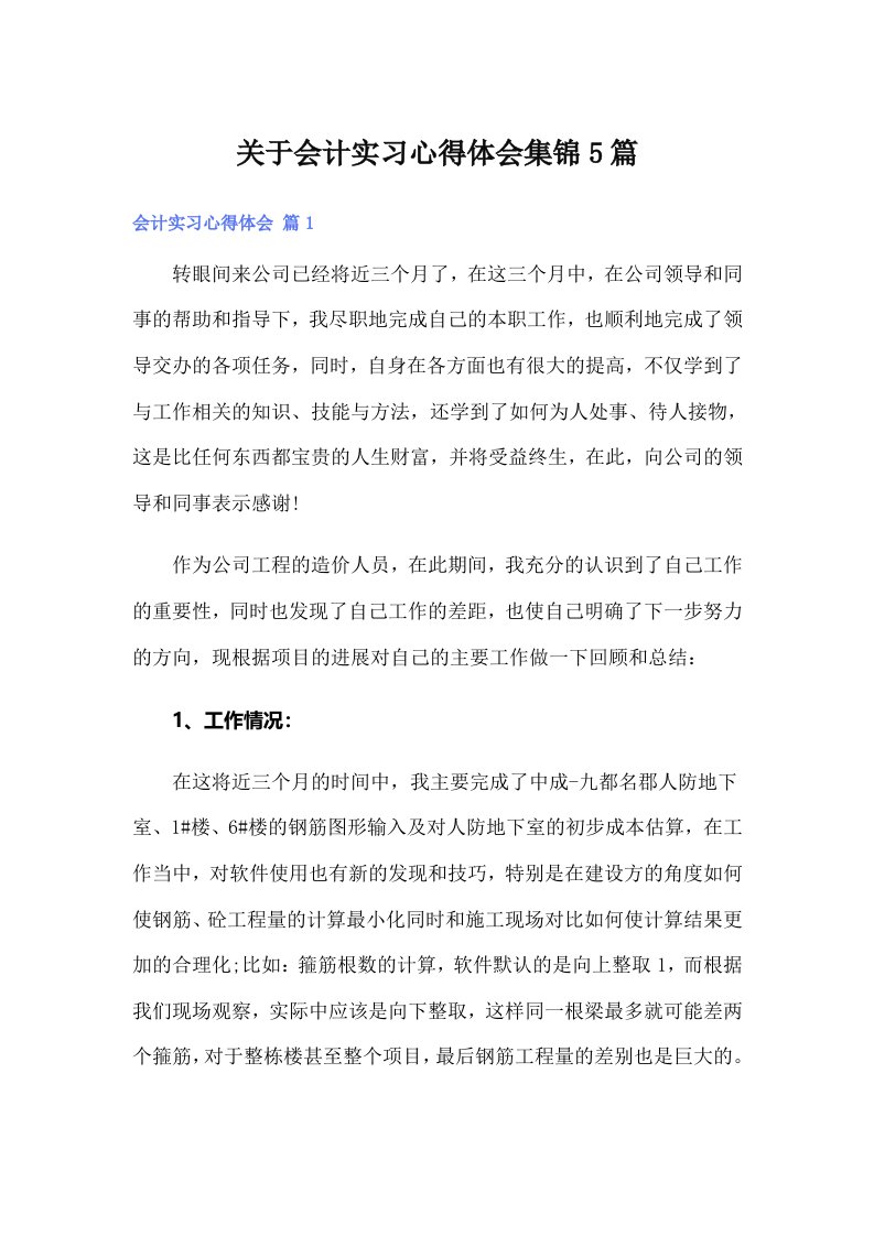 （整合汇编）关于会计实习心得体会集锦5篇