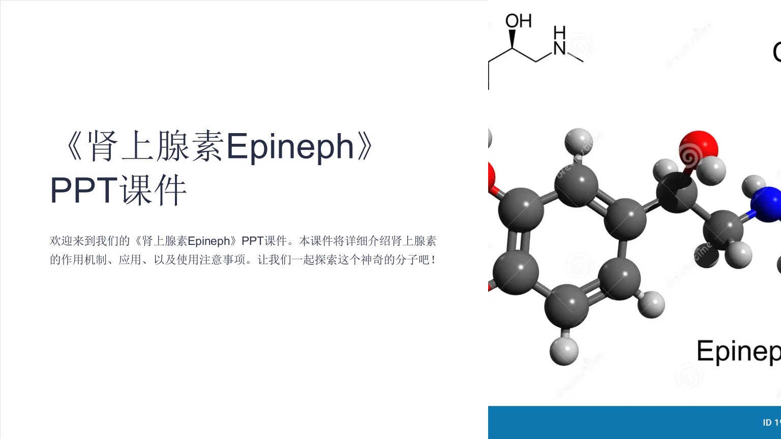 《肾上腺素Epineph》课件