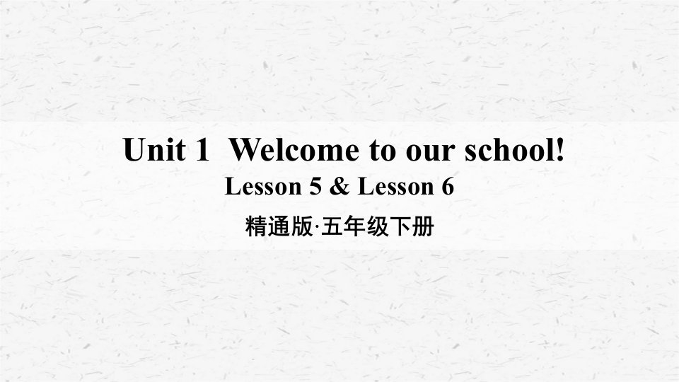 人教精通版五年级下英语Lesson