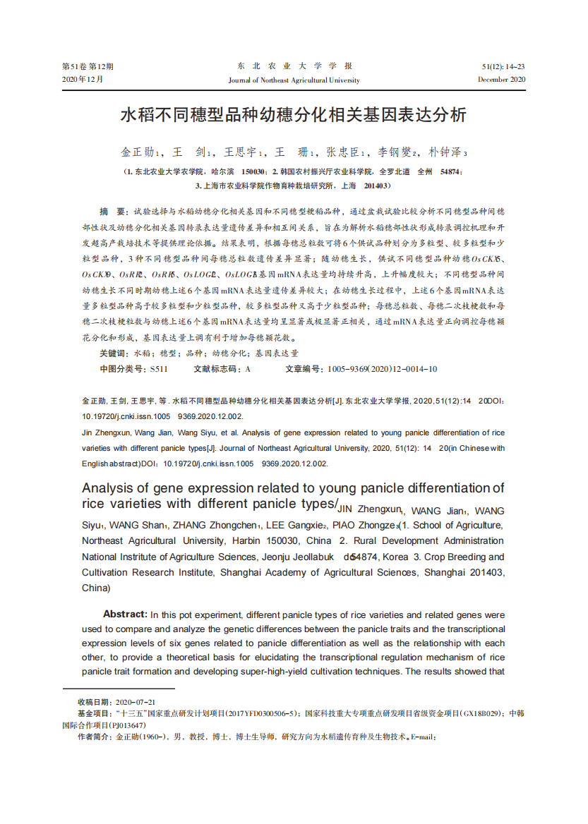 水稻不同穗型品种幼穗分化相关基因表达分析