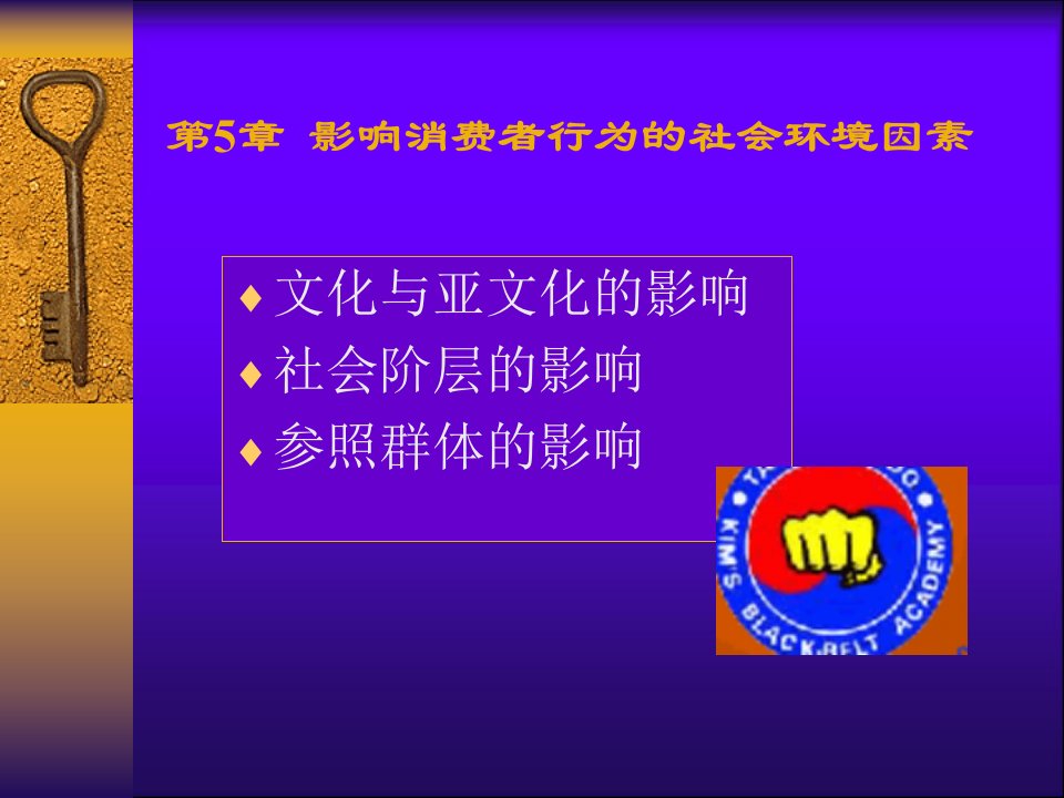 05影响消费者行为的社会因素