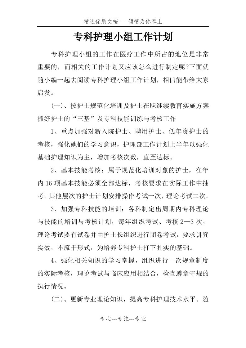 专科护理小组工作计划(共4页)