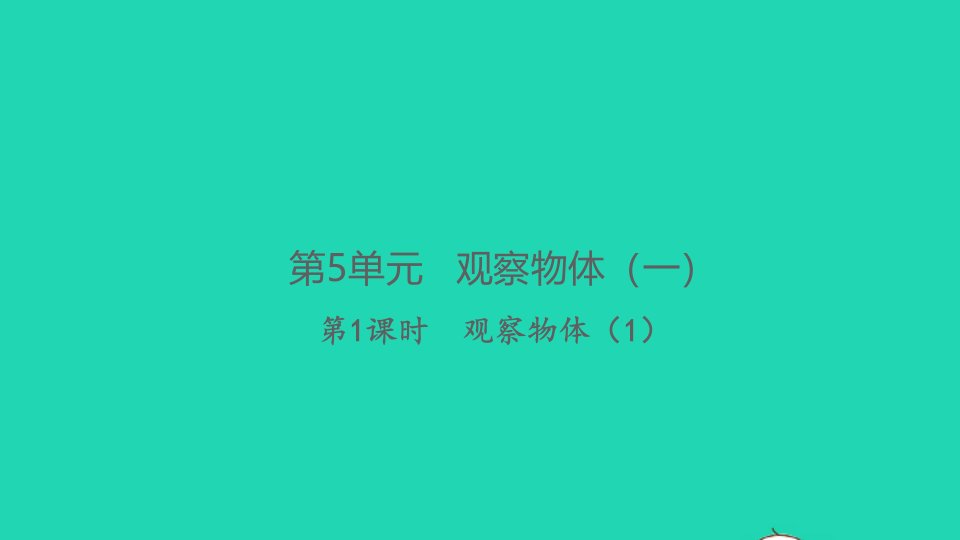 2021秋二年级数学上册第5单元观察物体一第1课时观察物体1习题课件新人教版