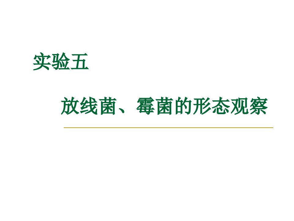 实验五放线菌、霉菌的形态观察