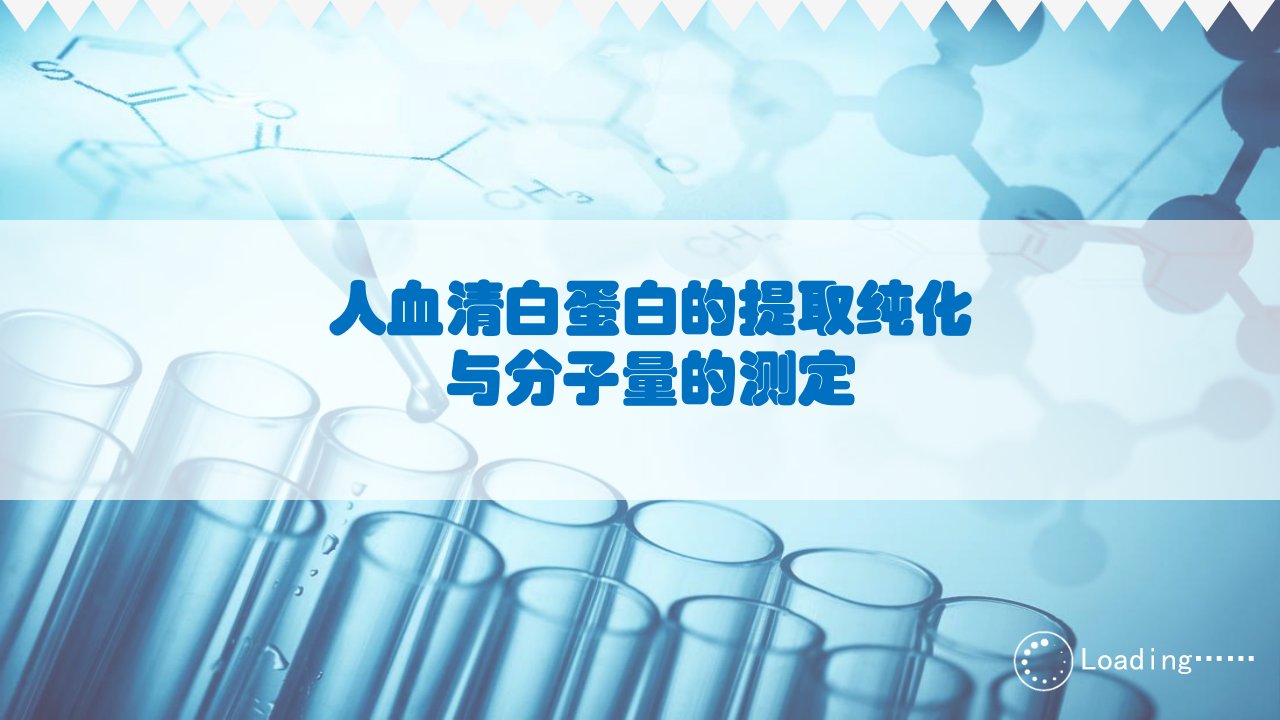 人血清白蛋白的提取纯化和分子量测定