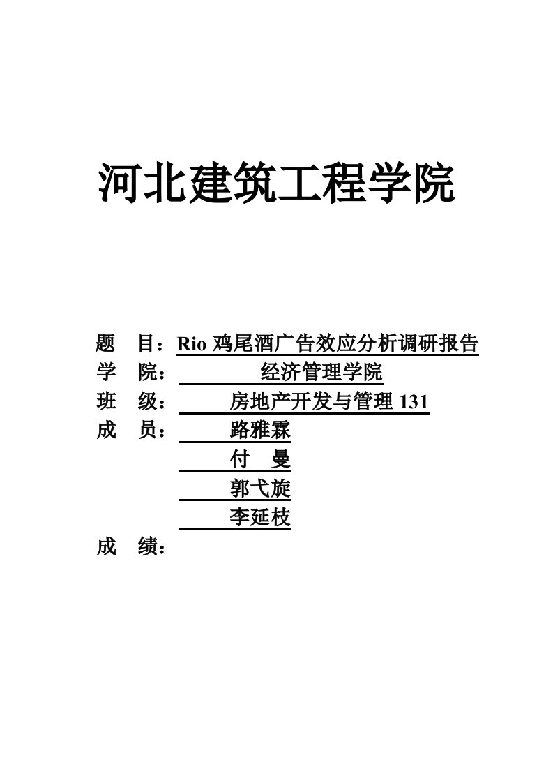 rio鸡尾酒广告调研报告