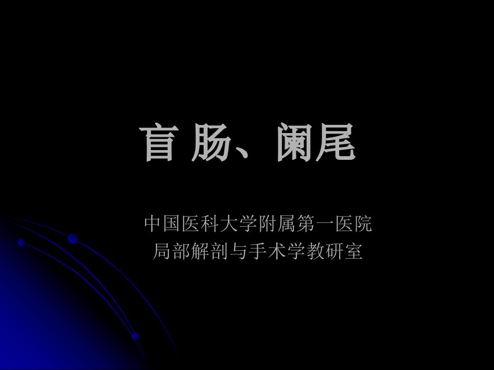 《盲肠。阑尾》PPT课件