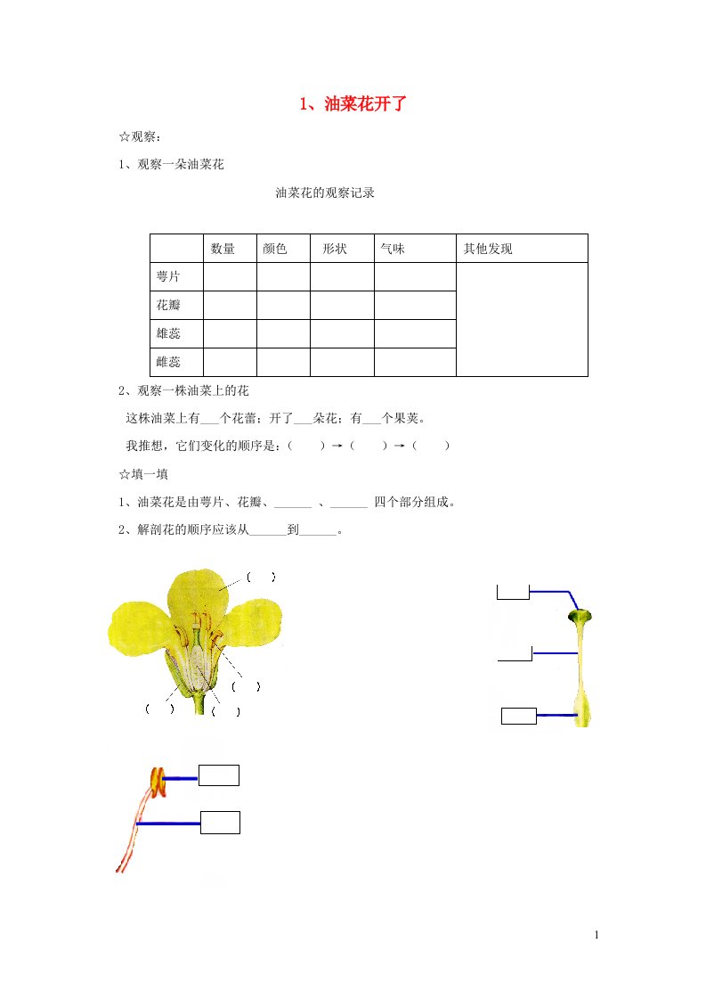 四年级科学下册第二单元新的生命单元学习指导教案教科版