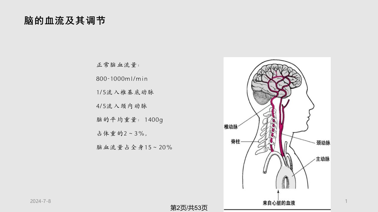 脑血管疾病病人的护理张蕊