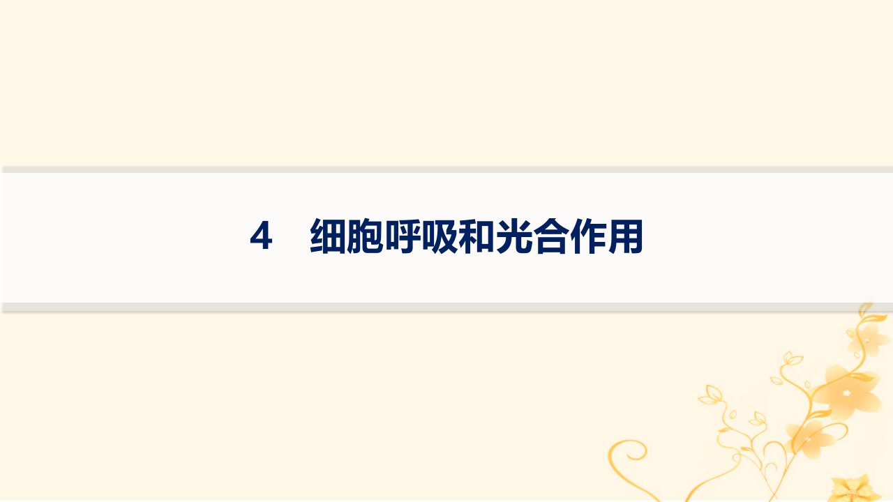 适用于新高考新教材2024版高考生物二轮复习知识对点小题练4细胞呼吸和光合作用课件