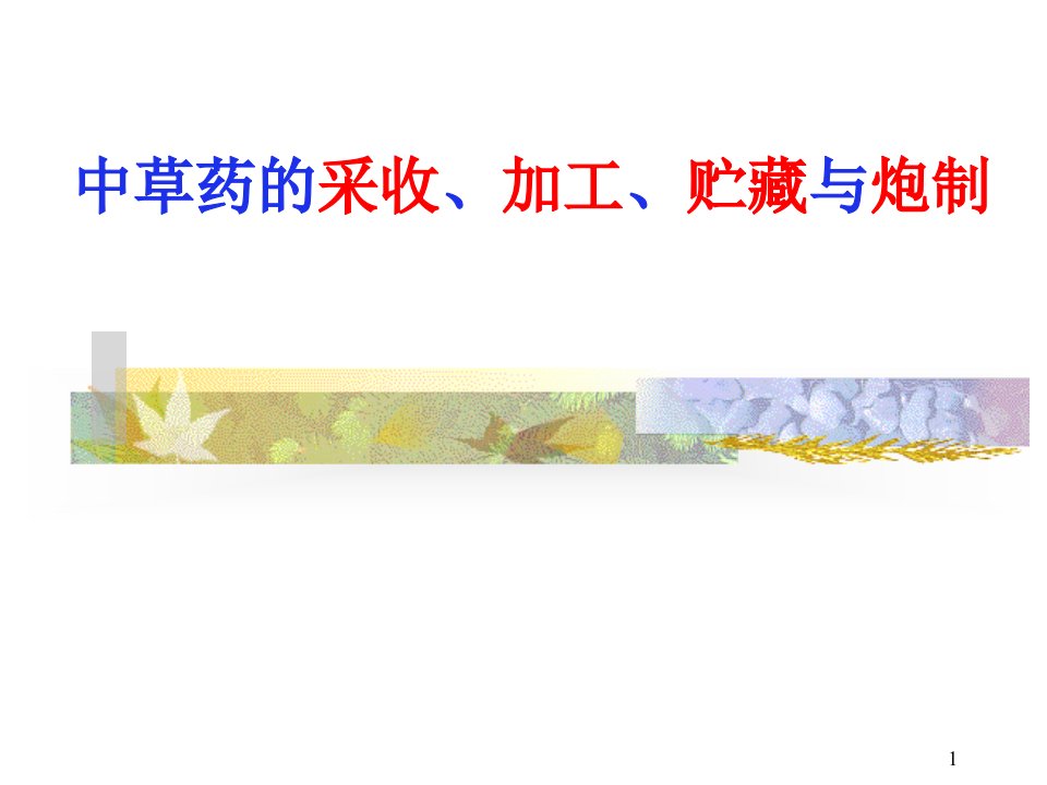 中草药采收、加工、贮藏、炮制课件