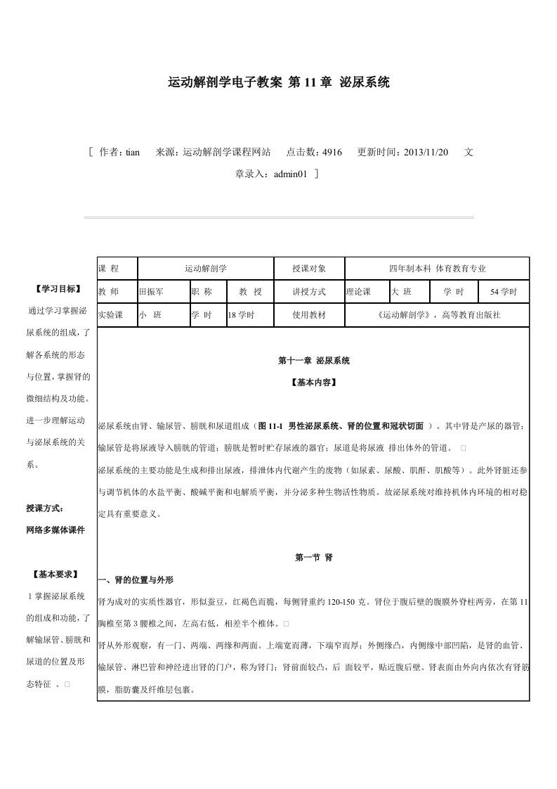 运动解剖学电子教案第一章泌尿系统