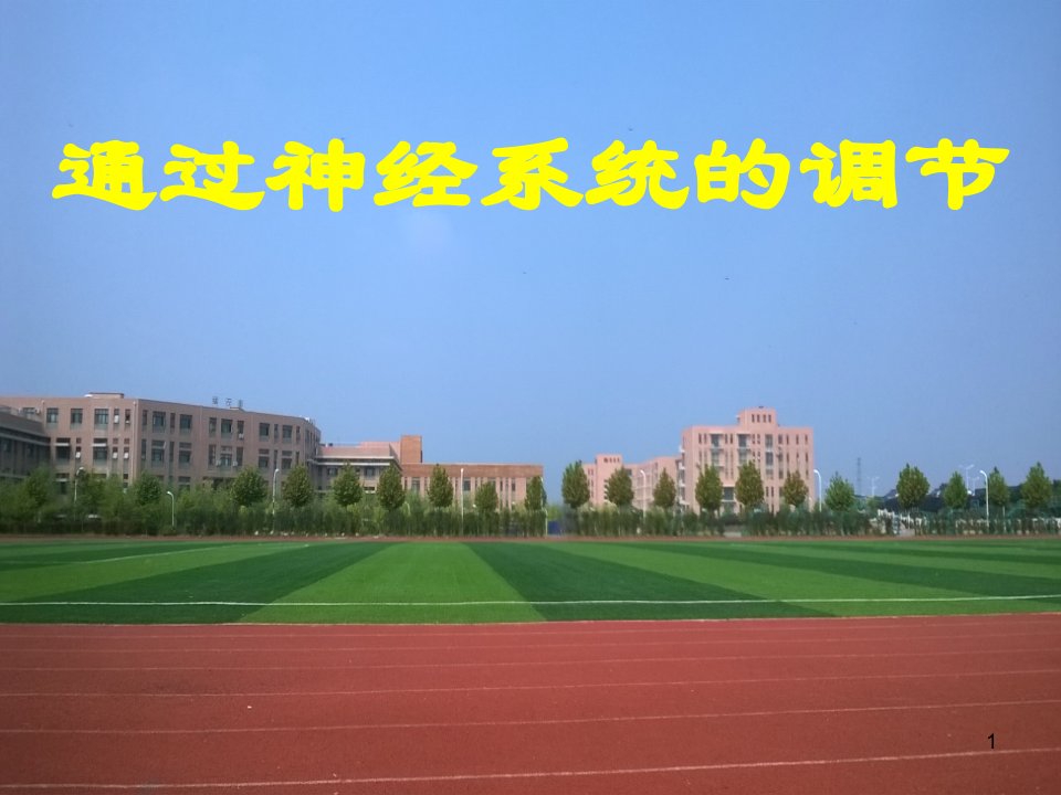 高考生物一轮复习课通过神经系统的调节课件