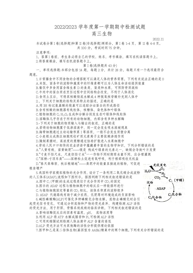 江苏省扬州市2023届高三上学期生物期中试卷+答案