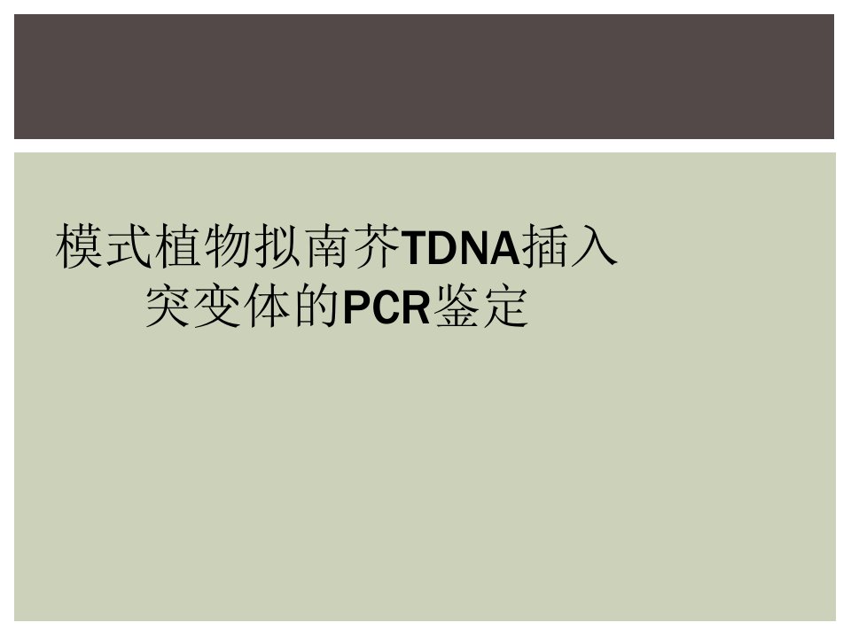 模式植物拟南芥tdna插入突变体的pcr鉴定