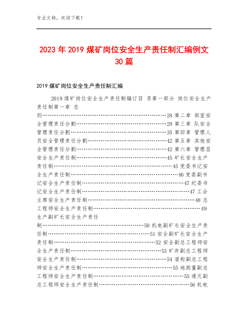 2023年2019煤矿岗位安全生产责任制汇编例文30篇