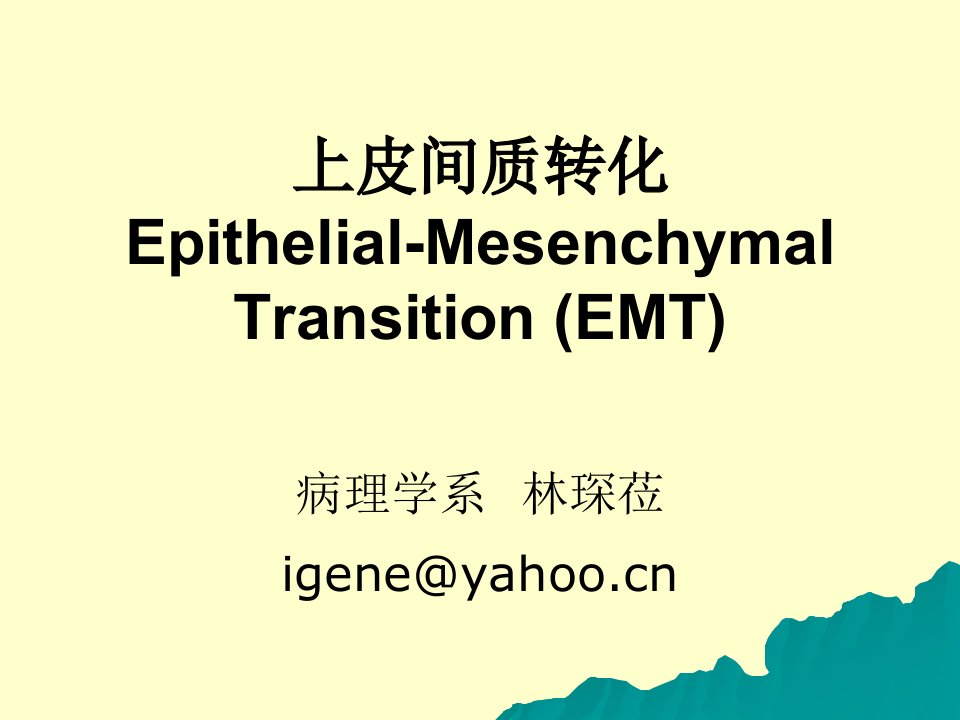 EMT上皮间质转化