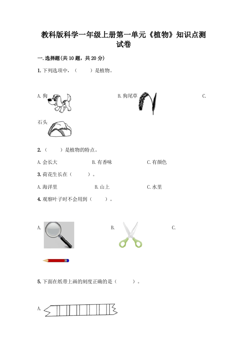 教科版科学一年级上册第一单元《植物》知识点测试卷附完整答案(全优)