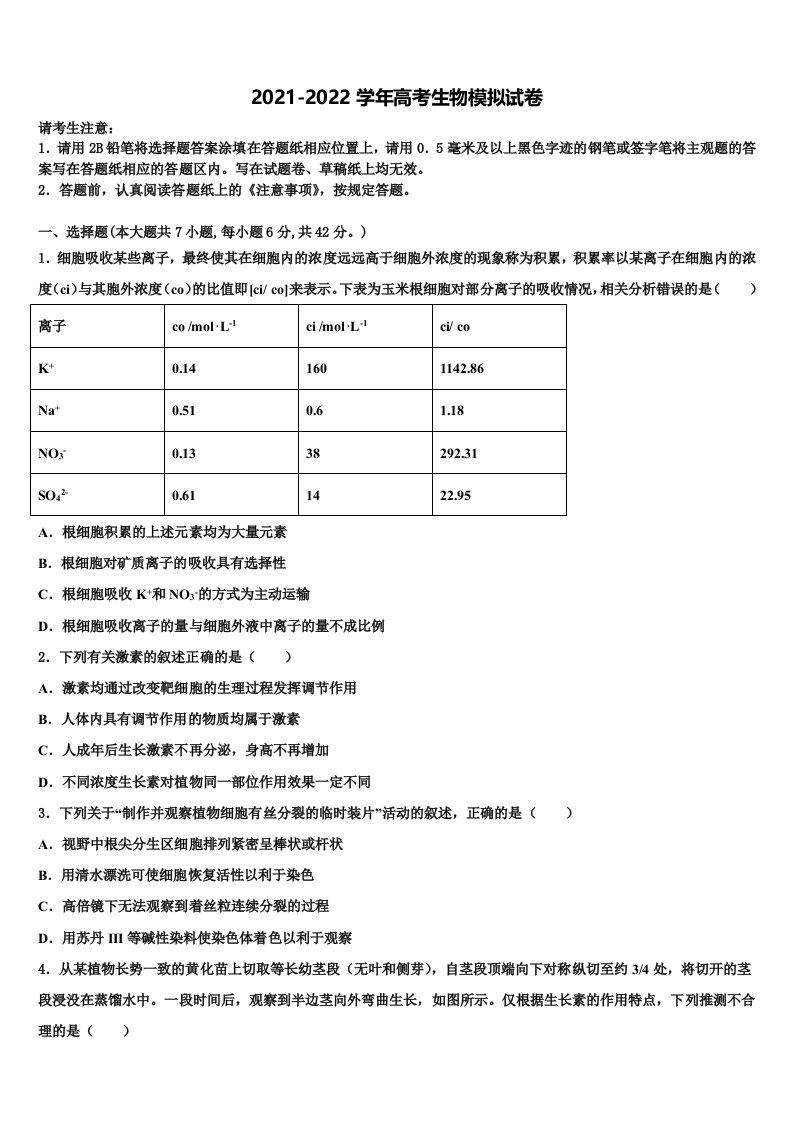 2022届广东省湛江市高三下学期联合考试生物试题含解析