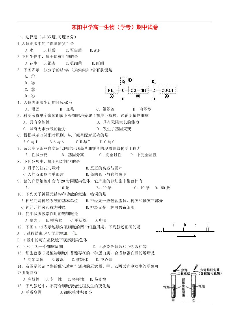 浙江省东阳中学高一生物下学期期中试题