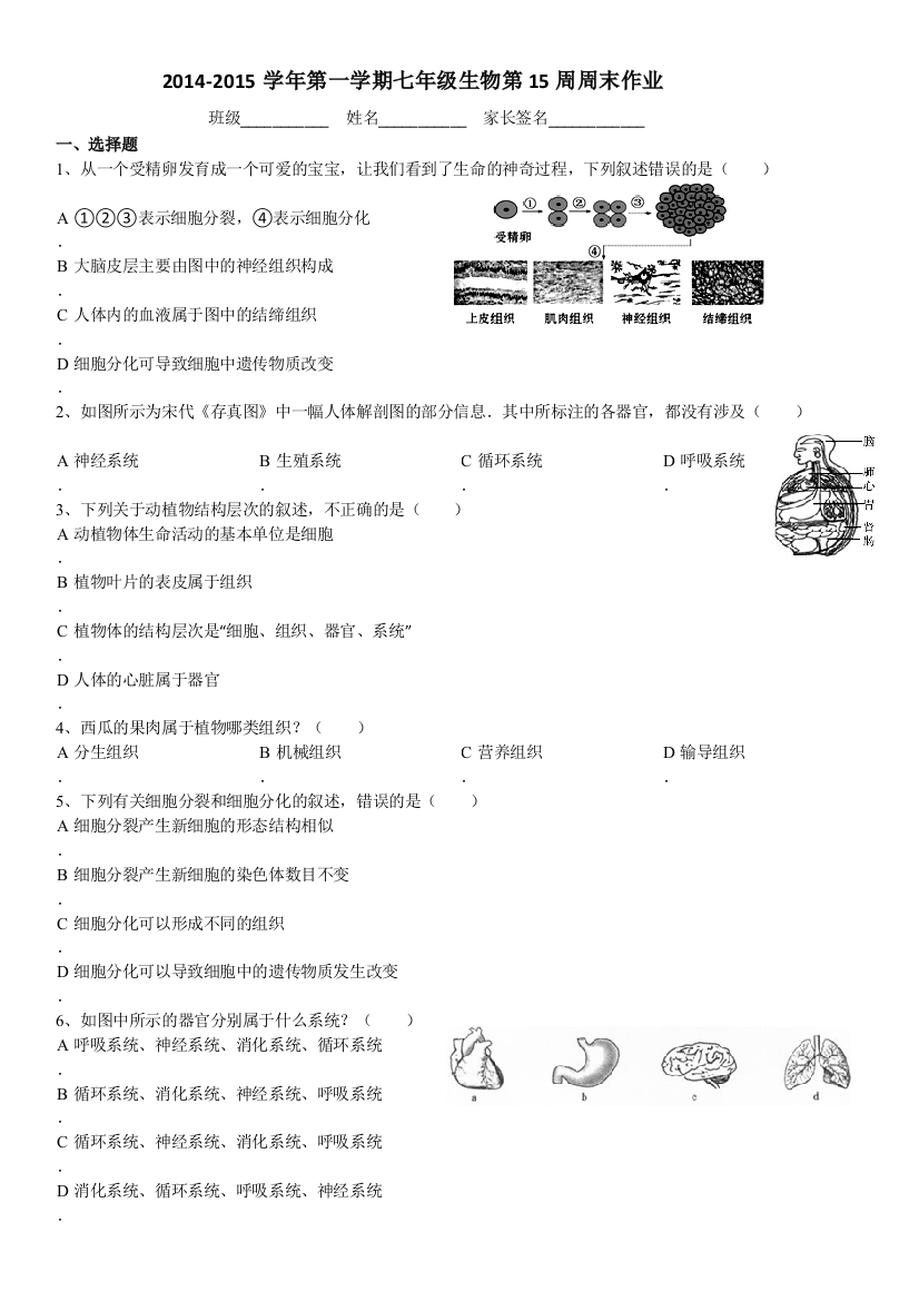 生物体的结构层次单元测试题