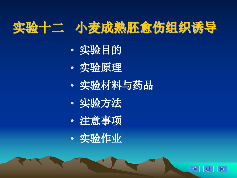 12小麦成熟胚愈伤组织诱导