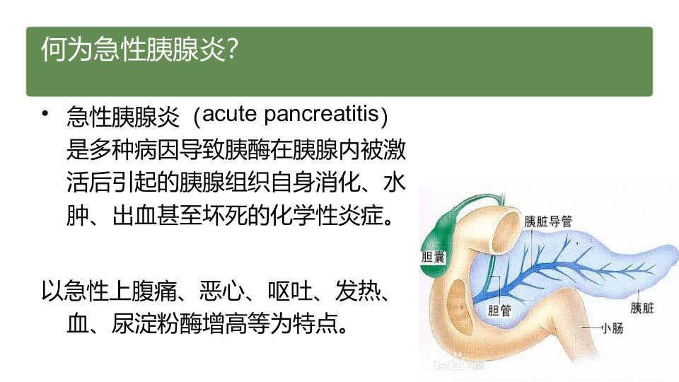 小儿急性胰腺炎医疗护理查房讲义