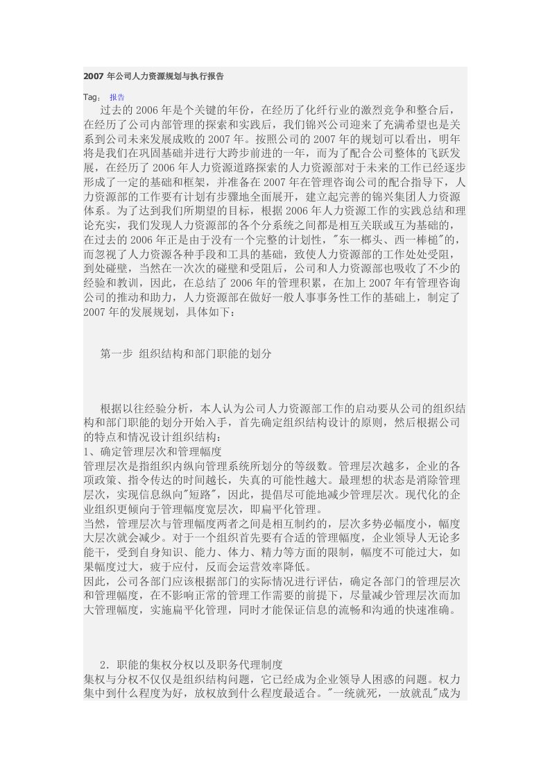 精选某某年度公司人力资源规划执行报告