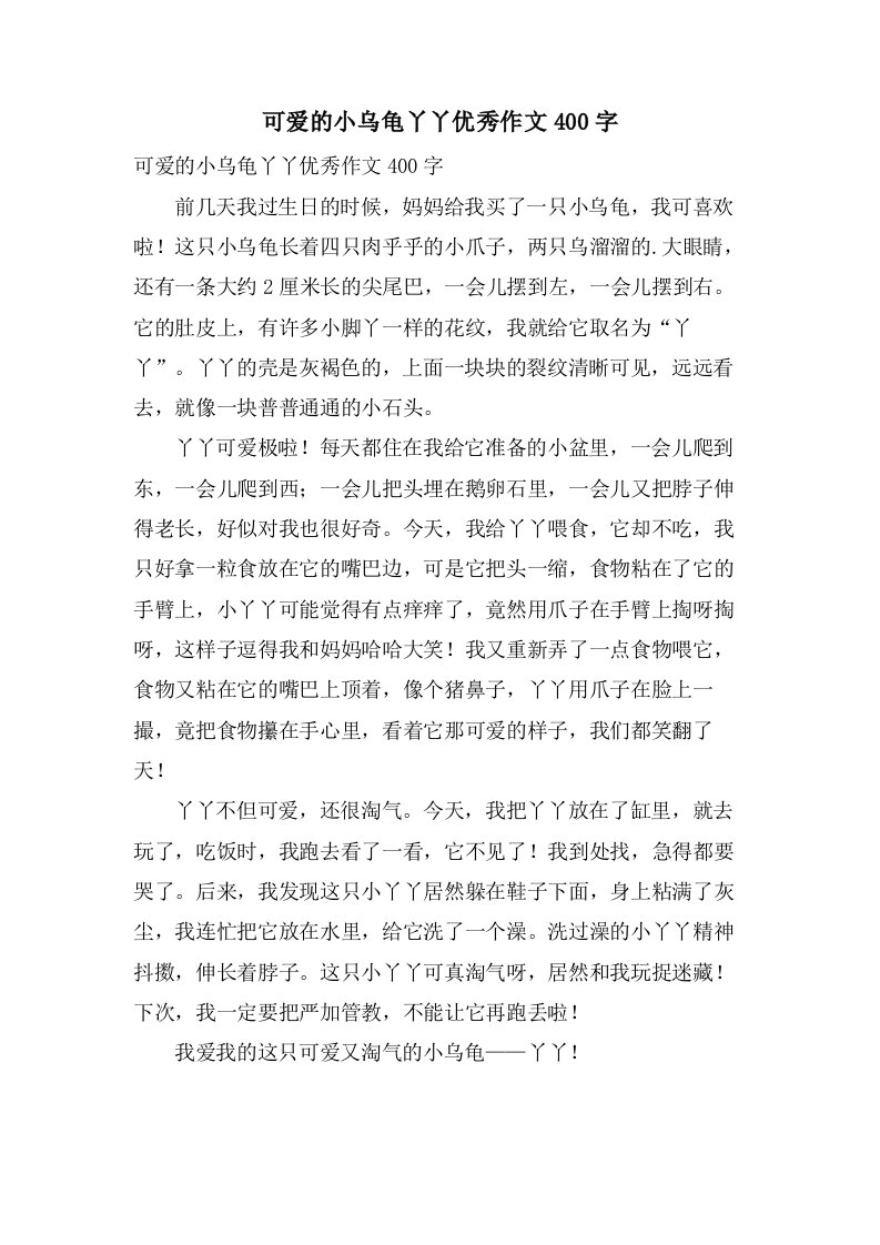 可爱的小乌龟丫丫作文400字