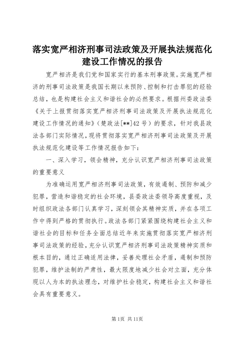 4落实宽严相济刑事司法政策及开展执法规范化建设工作情况的报告