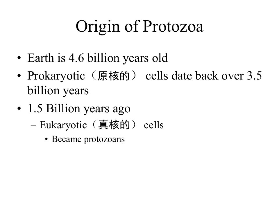 最新大学动物学原生动物教学课件