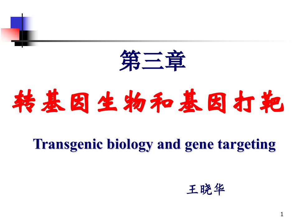 转基因生物和基因打靶