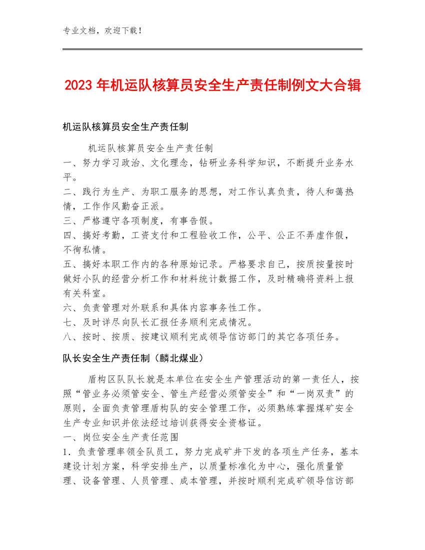 2023年机运队核算员安全生产责任制例文大合辑