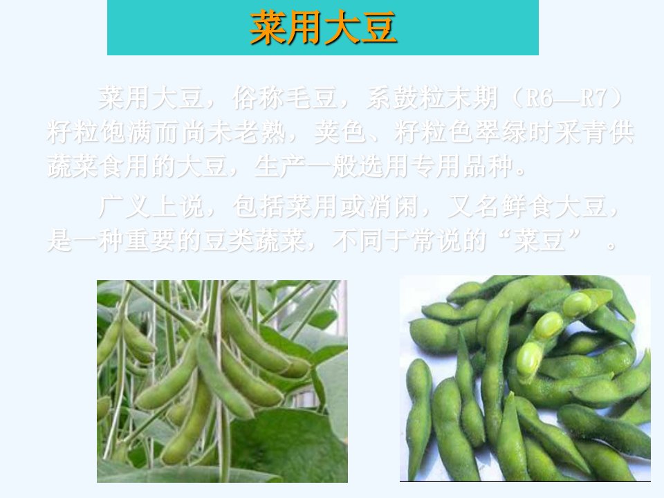 菜用大豆高产高效栽培技术