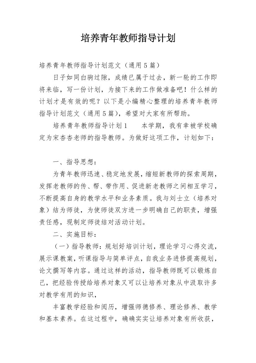 培养青年教师指导计划