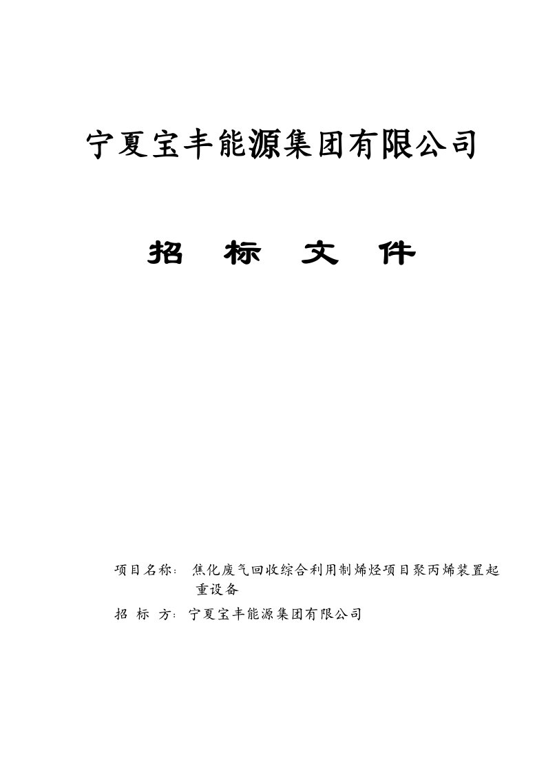 烯烃项目部起重设备招标文件