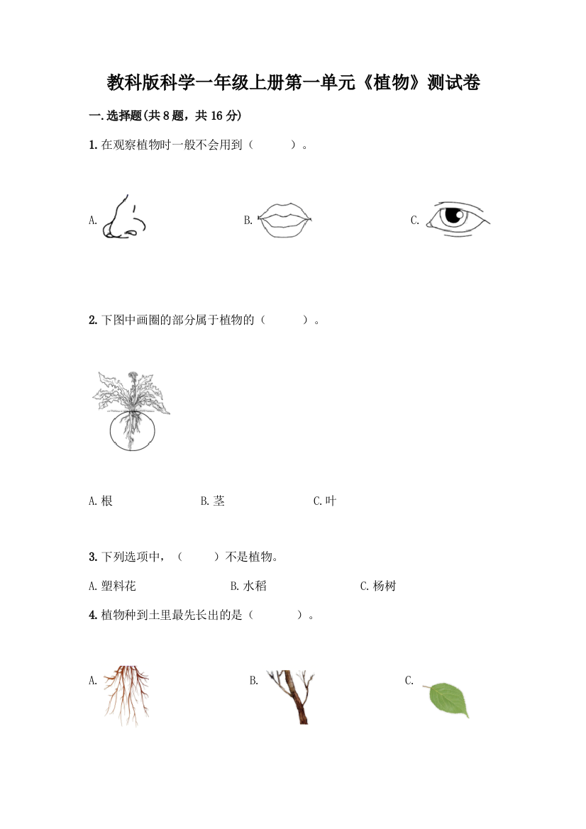 教科版科学一年级上册第一单元《植物》测试卷含答案【B卷】