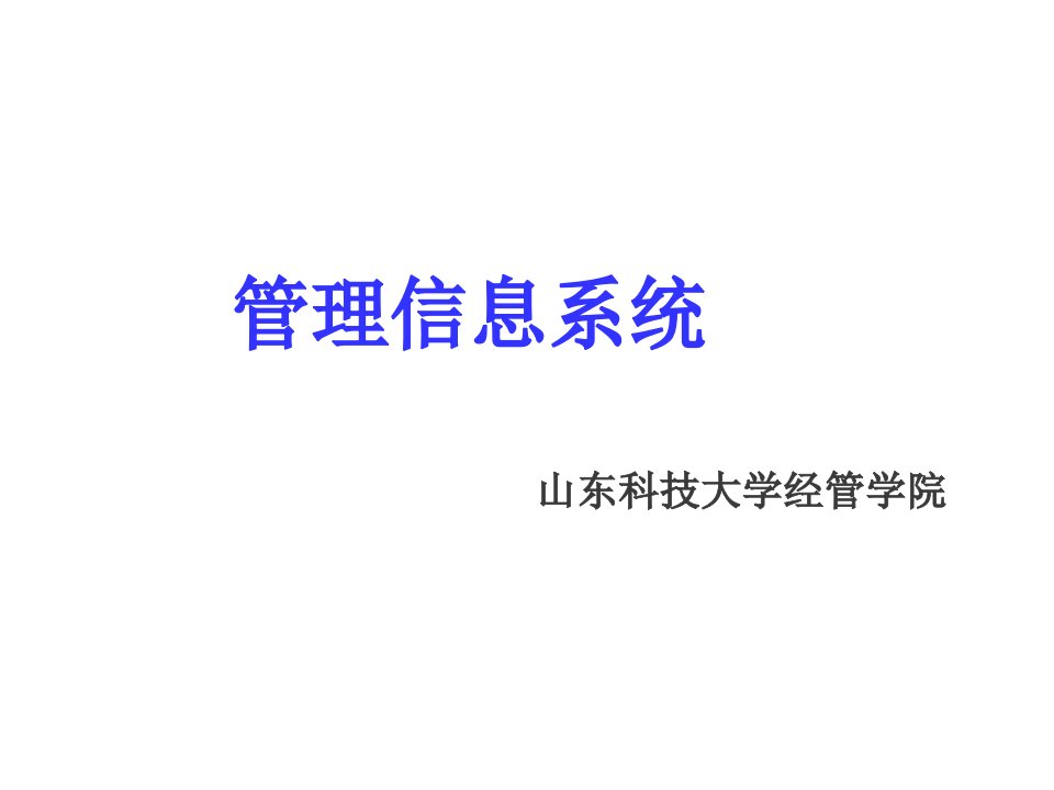 战略管理-第四章信息系统战略规划与开发方法