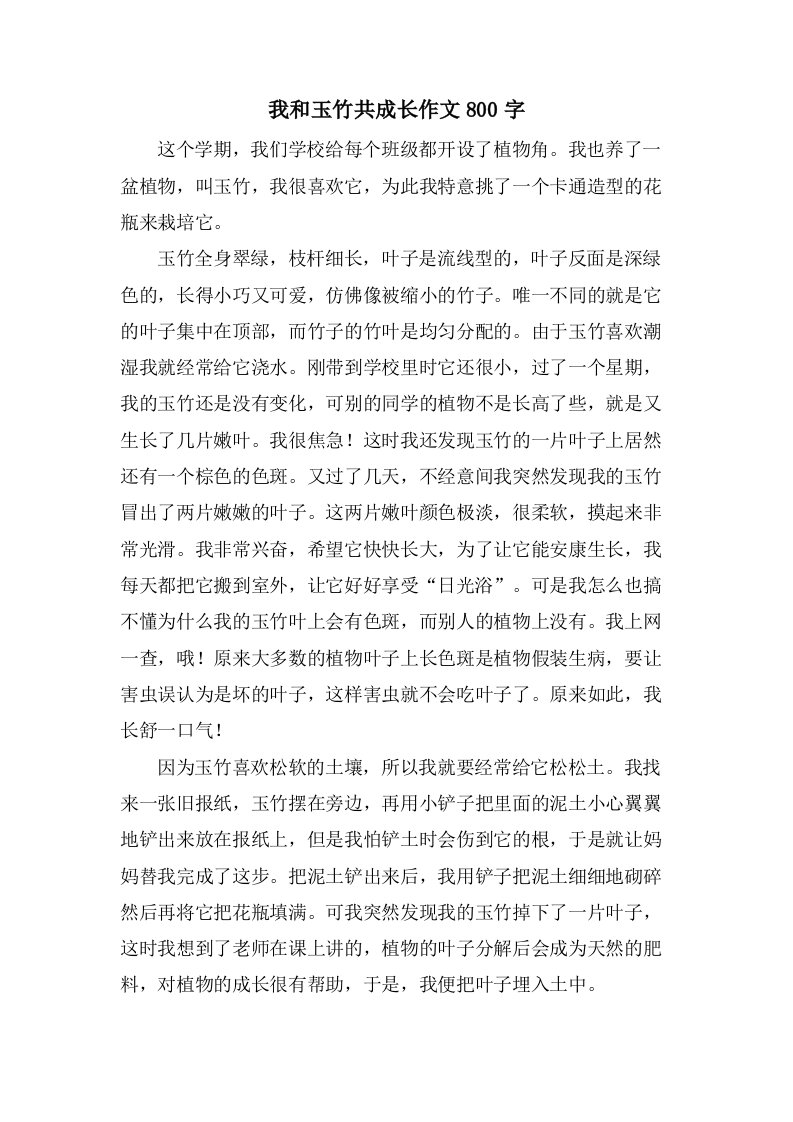 我和玉竹共成长作文800字