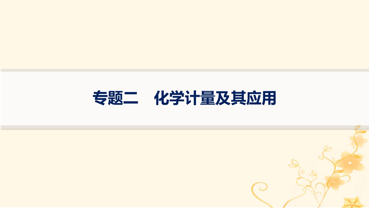 适用于新高考新教材2024版高考化学二轮复习专题突破练2化学计量及其应用课件