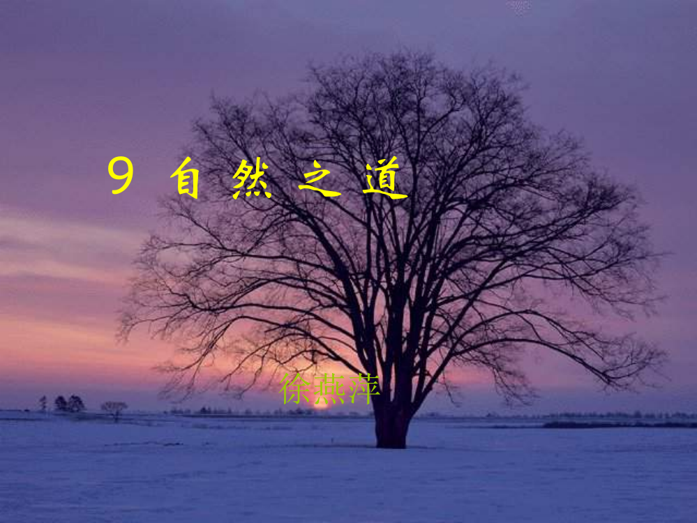 ９、自然之道