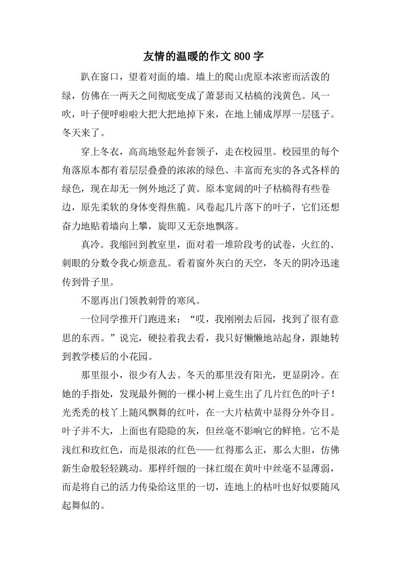 友情的温暖的作文800字