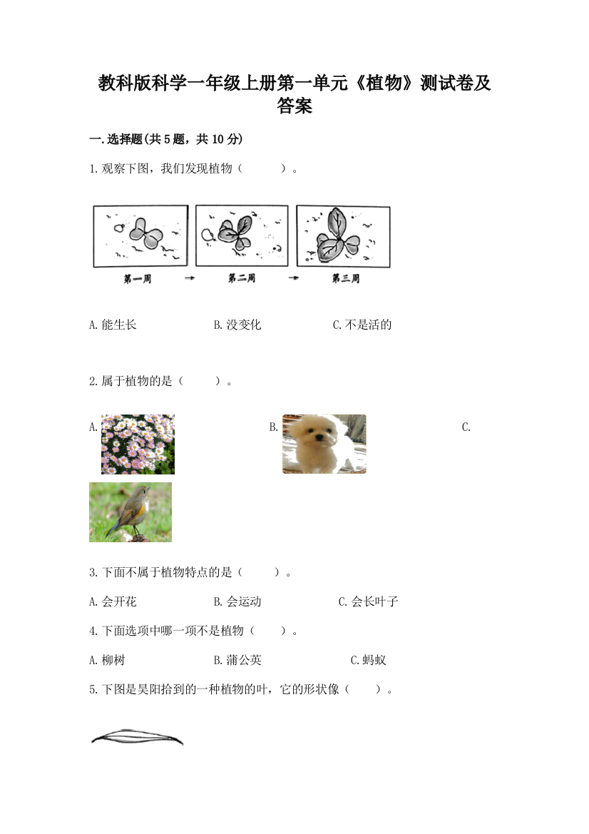 教科版科学一年级上册第一单元《植物》测试卷及答案带答案【A卷】