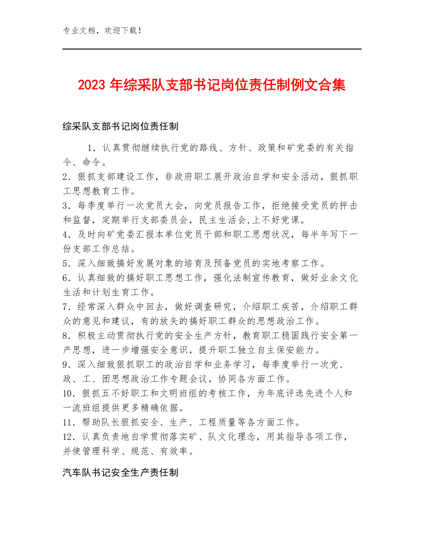 2023年综采队支部书记岗位责任制例文合集