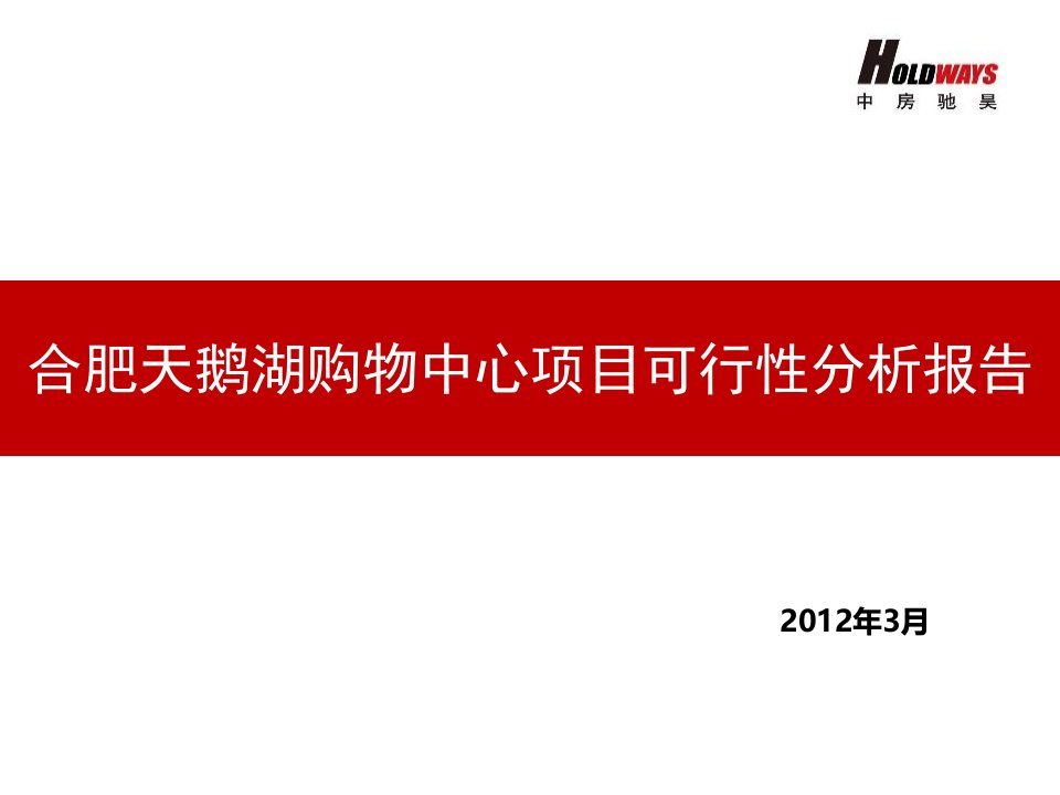 2024年合肥天鹅湖购物中心项目可行性研究报告69P