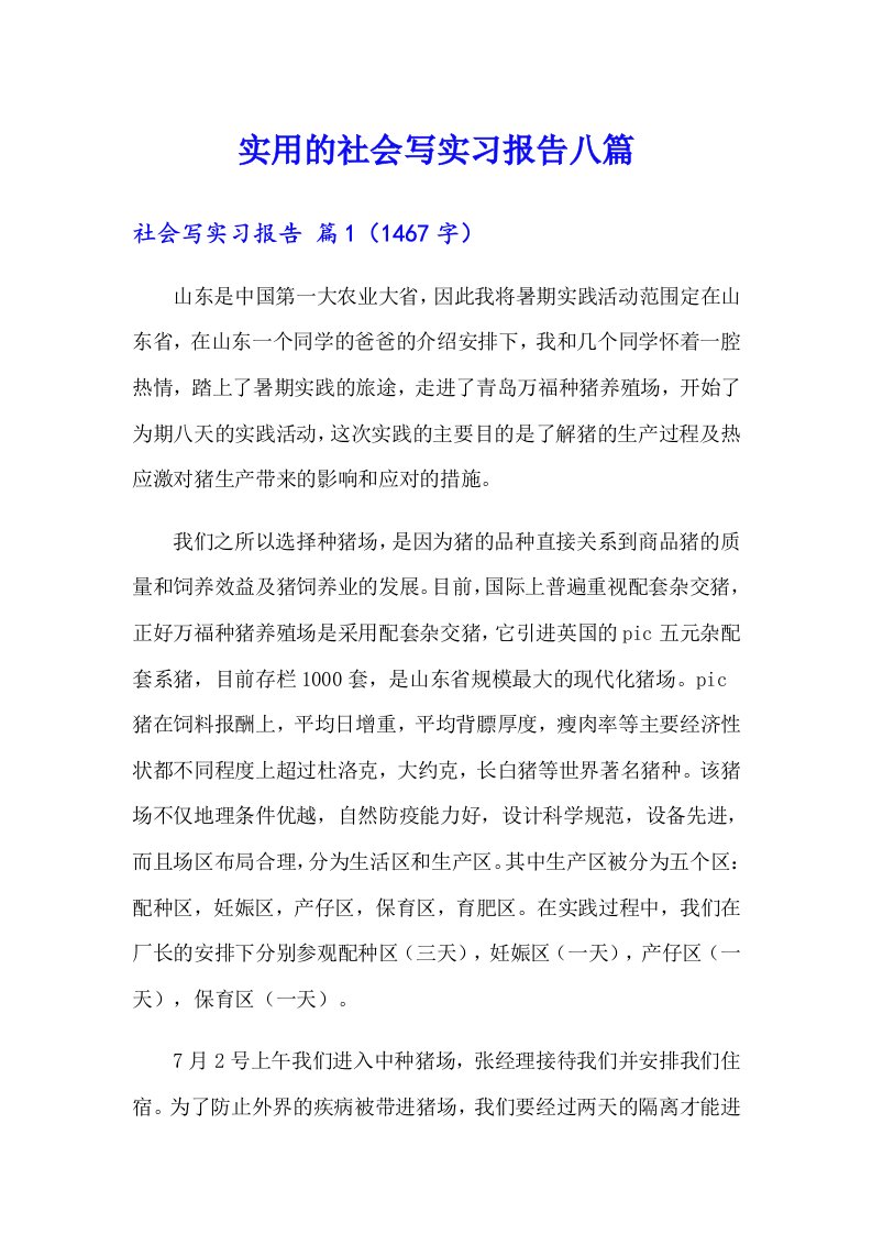 实用的社会写实习报告八篇