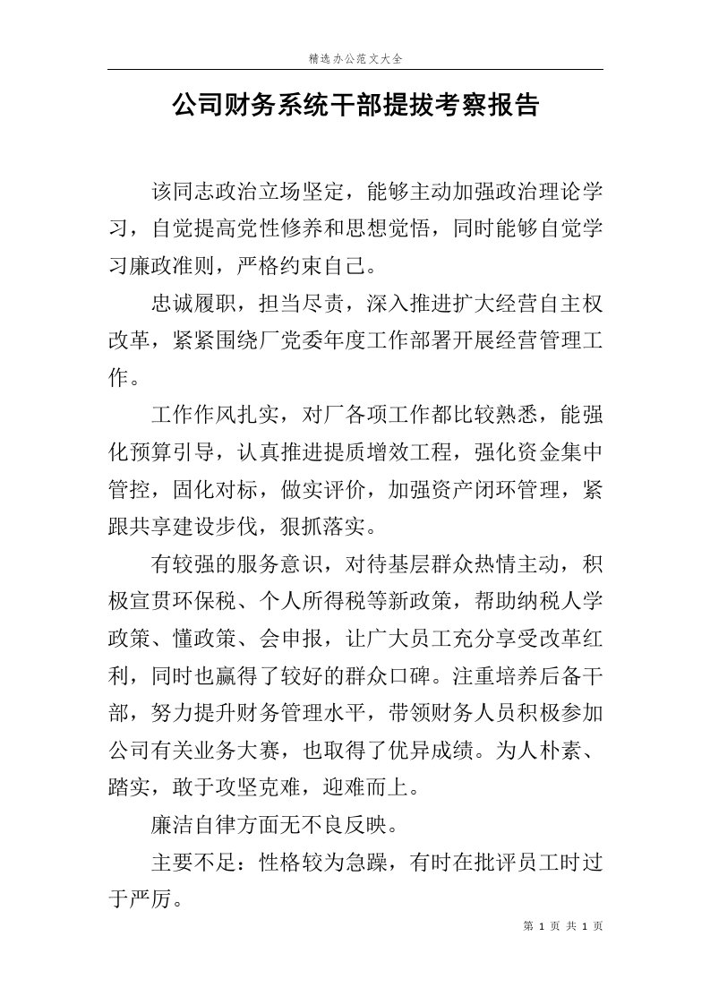 公司财务系统干部提拔考察报告