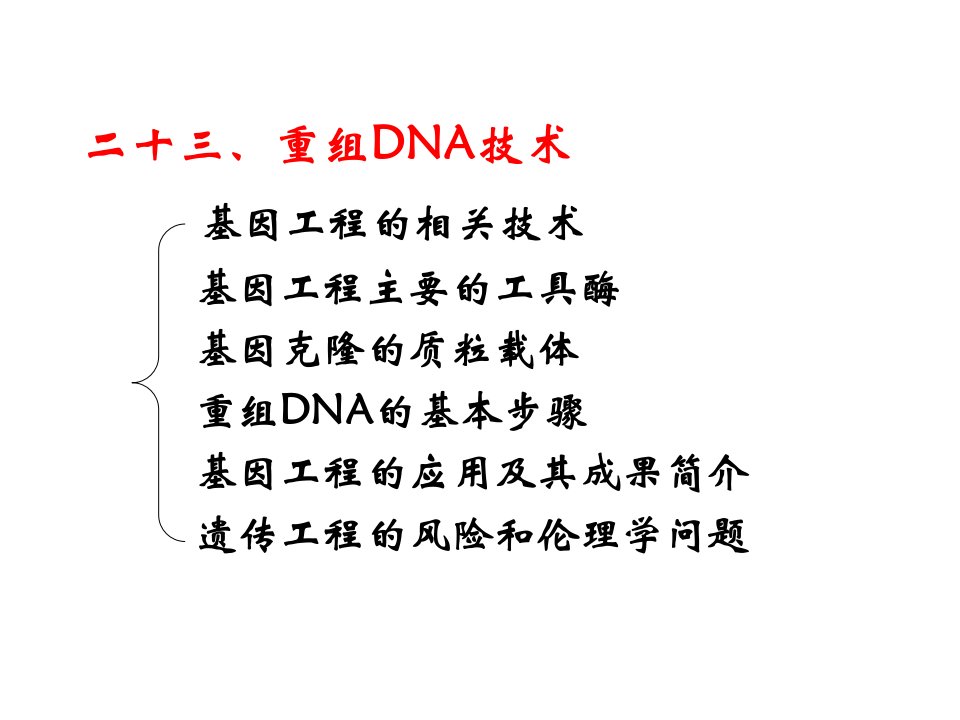 23重组DNA技术普通生物学PPT课件精心编辑